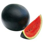 sugar baby melon 2 kg